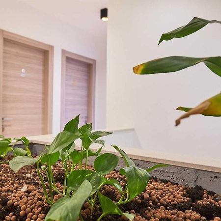 Boutique Garden Rooms Dubrovnik Exterior foto